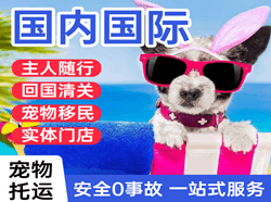 琼海机场空运国际宠物托运 【国